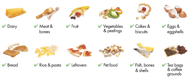 Food Waste
